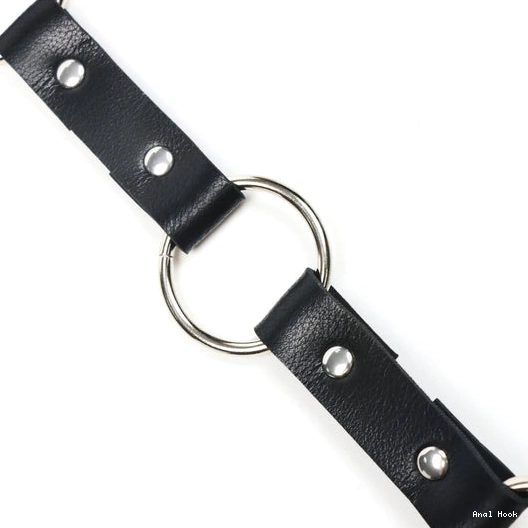 EverydayUse Collar and Anal Hook 5853 with Leash Kinky 0408